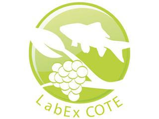 labex-cote-320x240